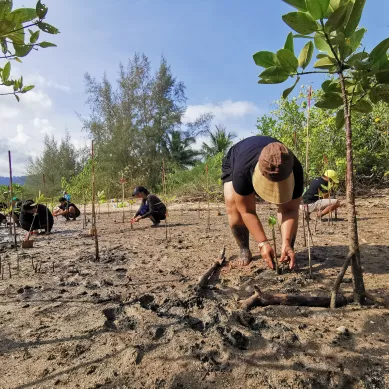 greening communities phuket